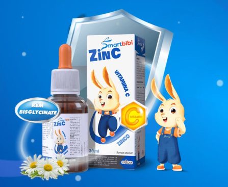 Smartbibi-ZinC2.JPG