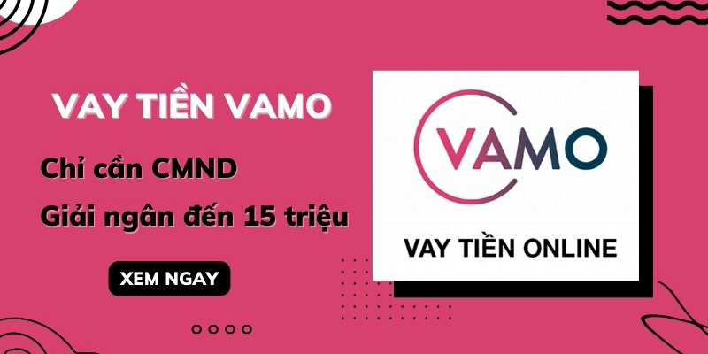 vayonline-vamo.jpg