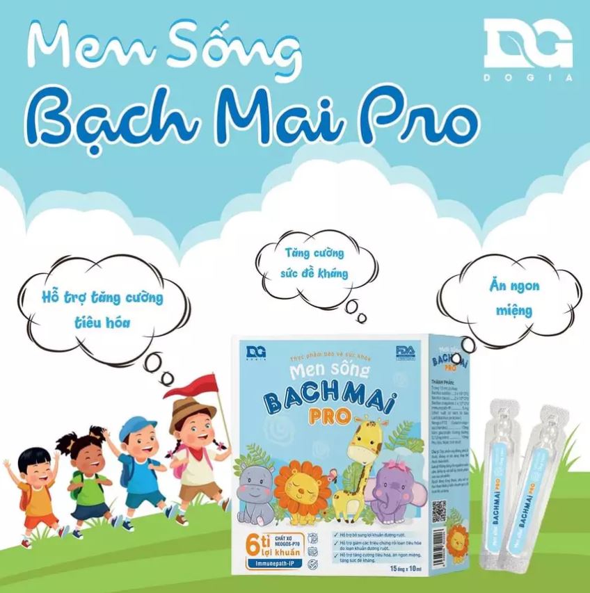 Men-song-bach-mai-pro1.JPG