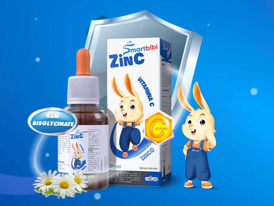 Smartbibi-ZinC2.JPG